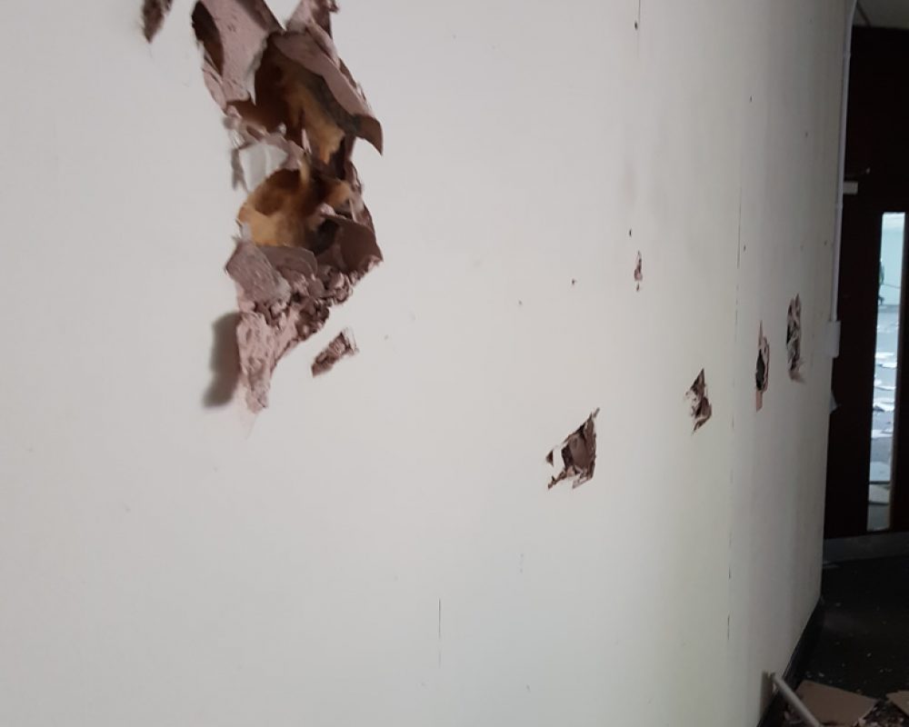 Bolton-Asbestos-Survey-7
