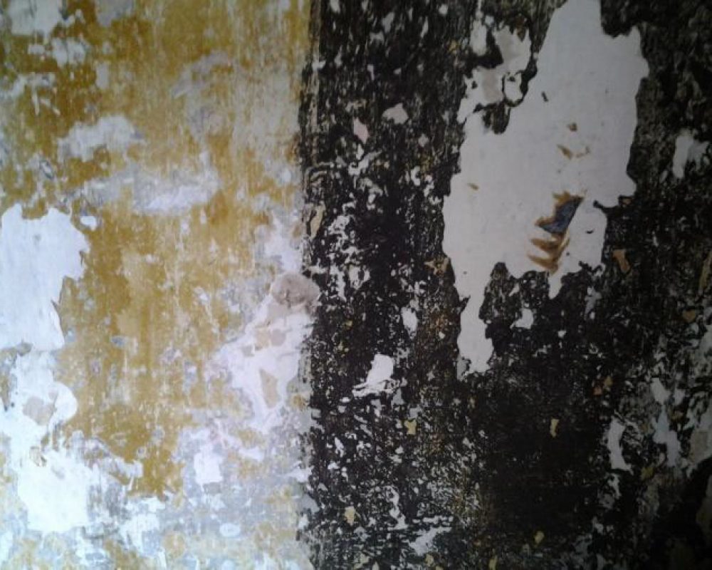 Refurbishment-and-Demolition-Survey-Greenhalgh-Lancashire6